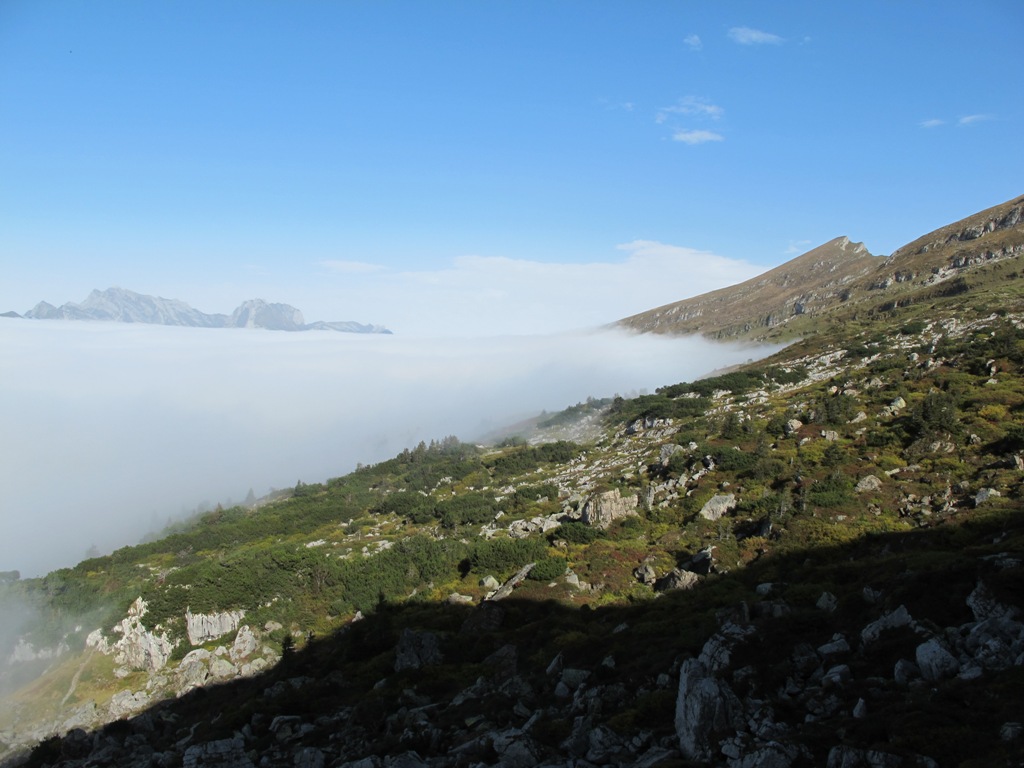 30.09.2012 Gocht