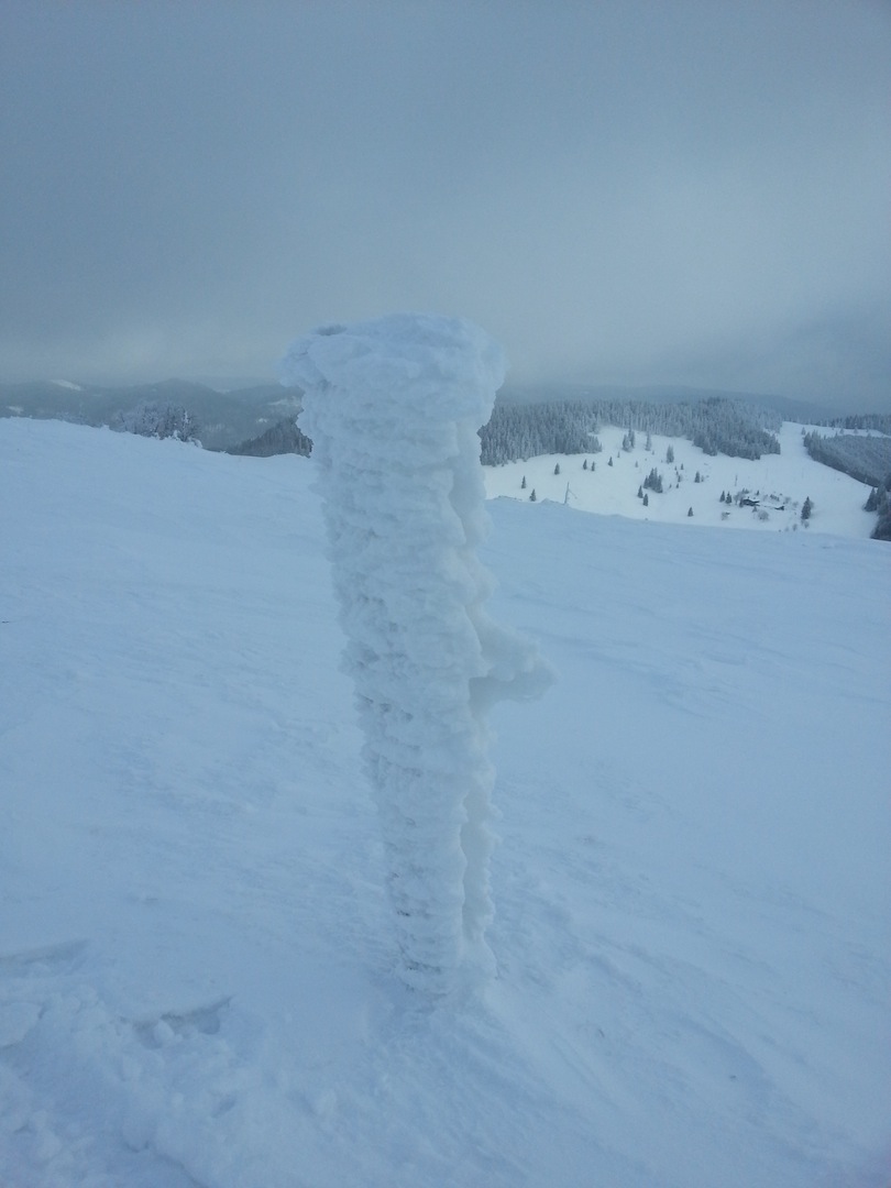 08.02.2015 Schneeschuhtour Herzogenhorn