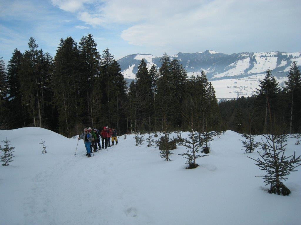15.02.2015 Schneeschuhtour Regelstein