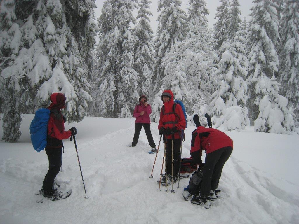 14. Febr. 2016 Schwarzwald