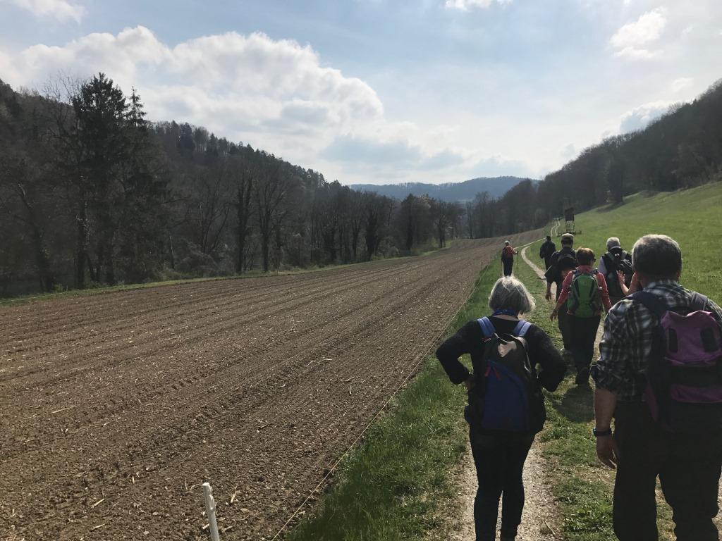 02. April 2017 Frühlingswanderung 1