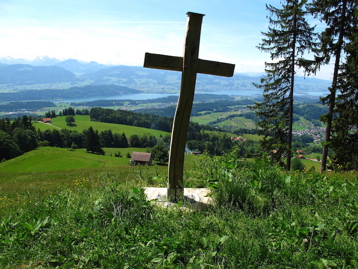 3. Juni 2017 Von Wald zum Farner