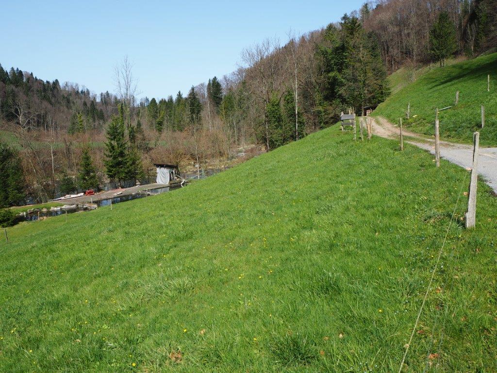 08.04.2018 Frühlingswanderung Sihlwald