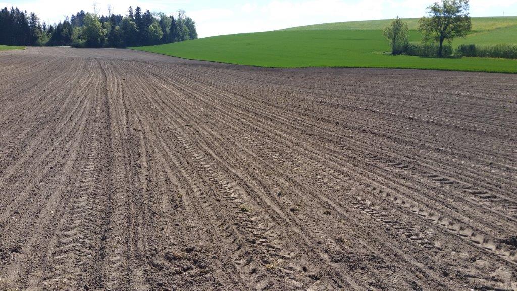 29.04.2018 Frühlingswanderung 2: Vom Sempachersee ins benachbarte Rottal