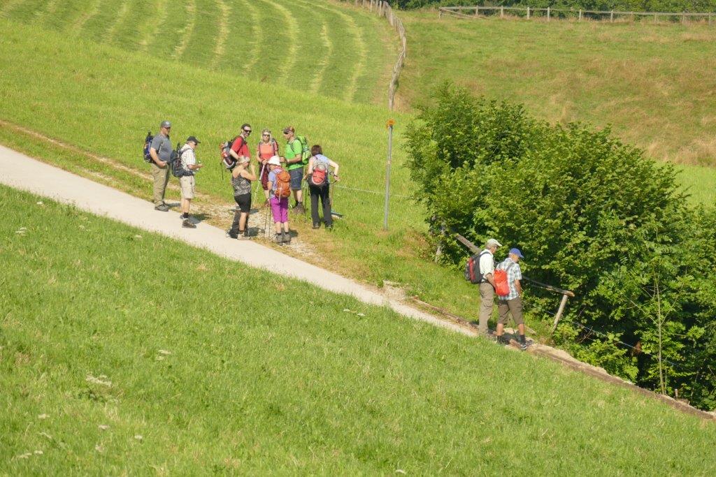 8. Juli 2018: Sommerwanderung Ahorn & Fritzeflue