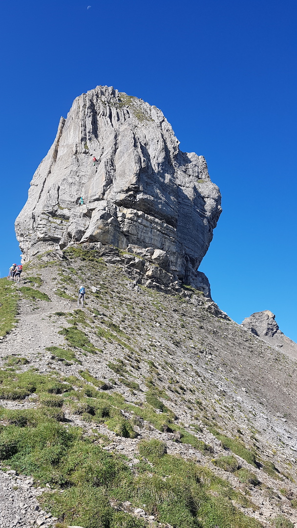 24. Aug. 2019 Lobhorn, Soustal