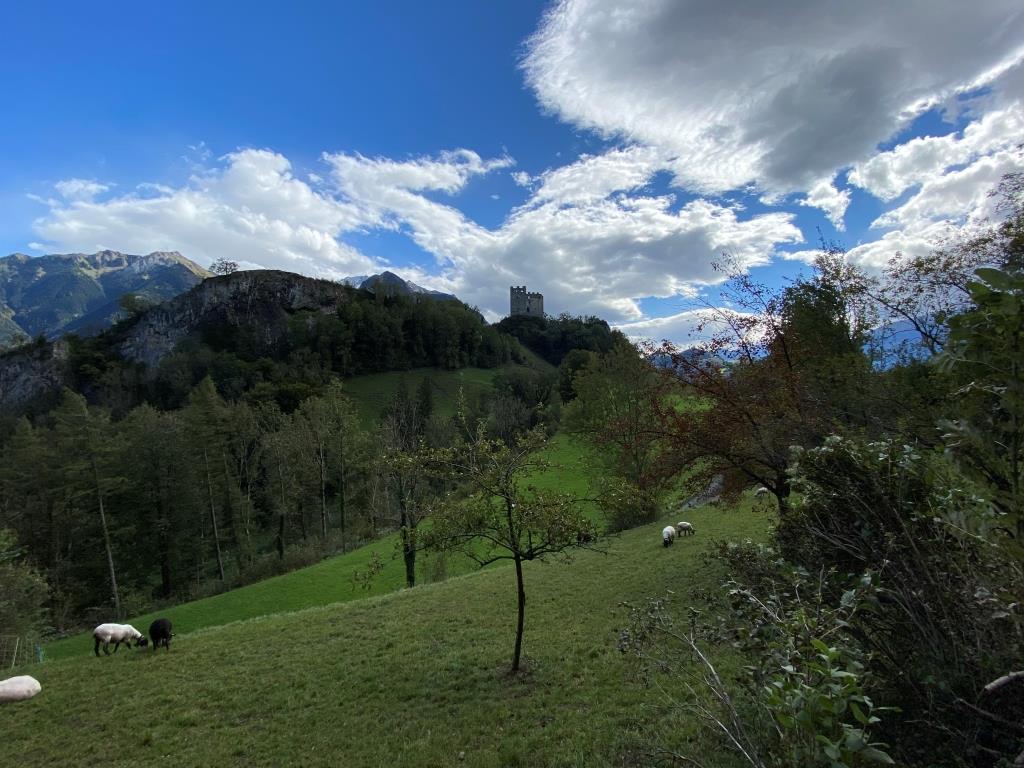 05.10.2020 Herbstwanderung  alte Schollbergstrasse