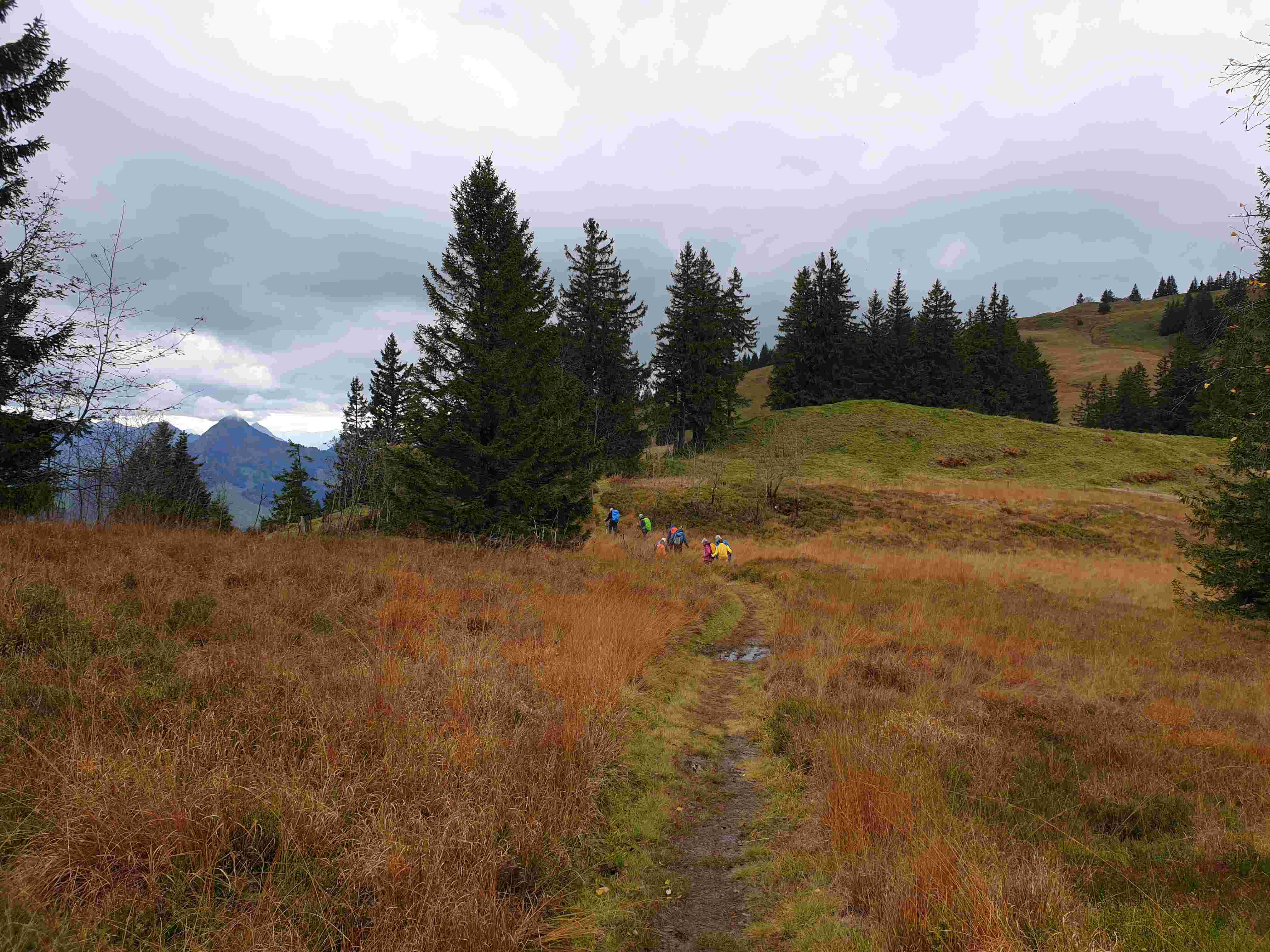 Wanderung Nüsellstock und Näbikenfirst vom 13.10.2024