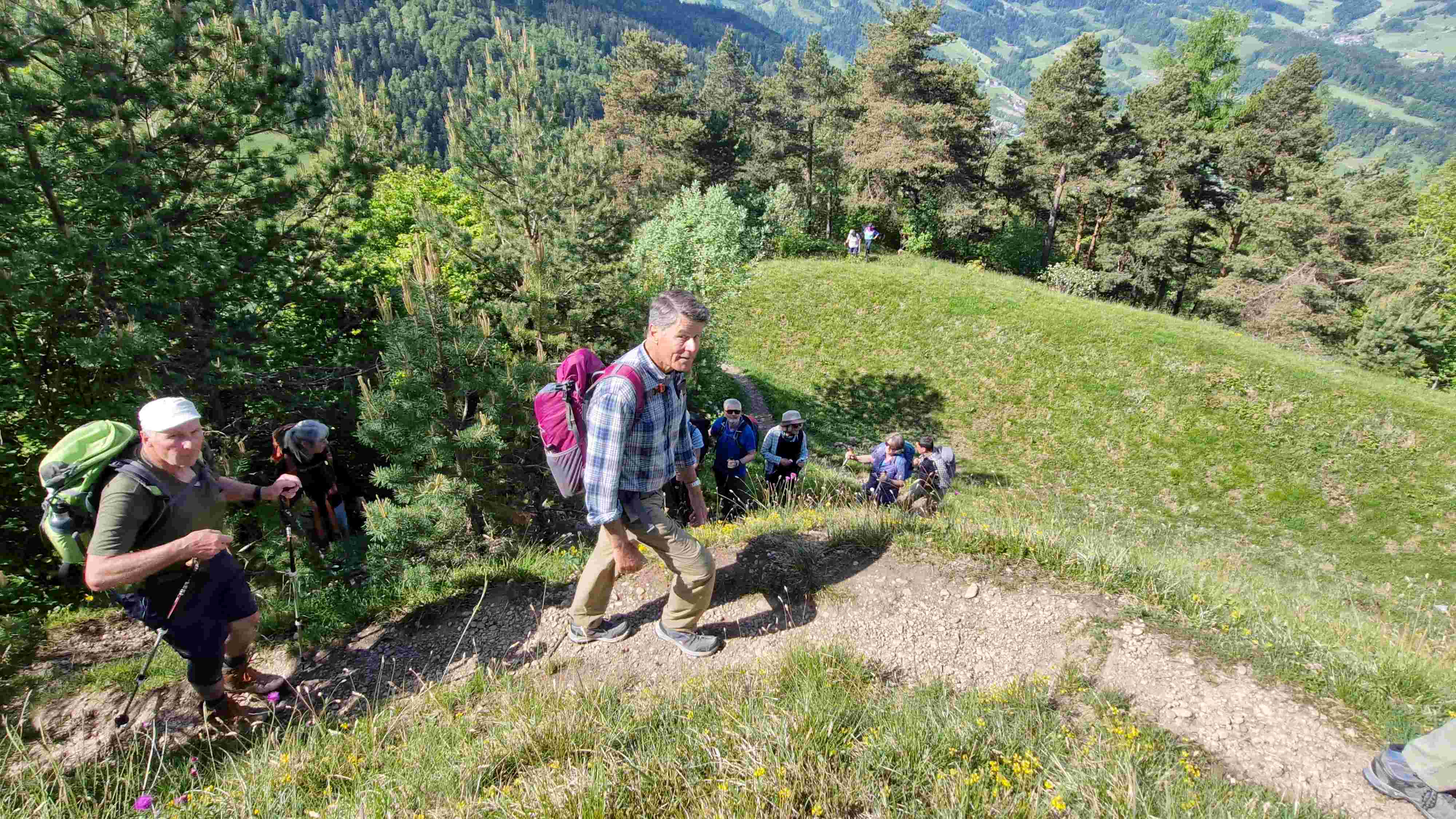 Frühlingswanderung 2 "Von Burg zu Burg" in Toggenburg, Samstag 17. Mai 2025