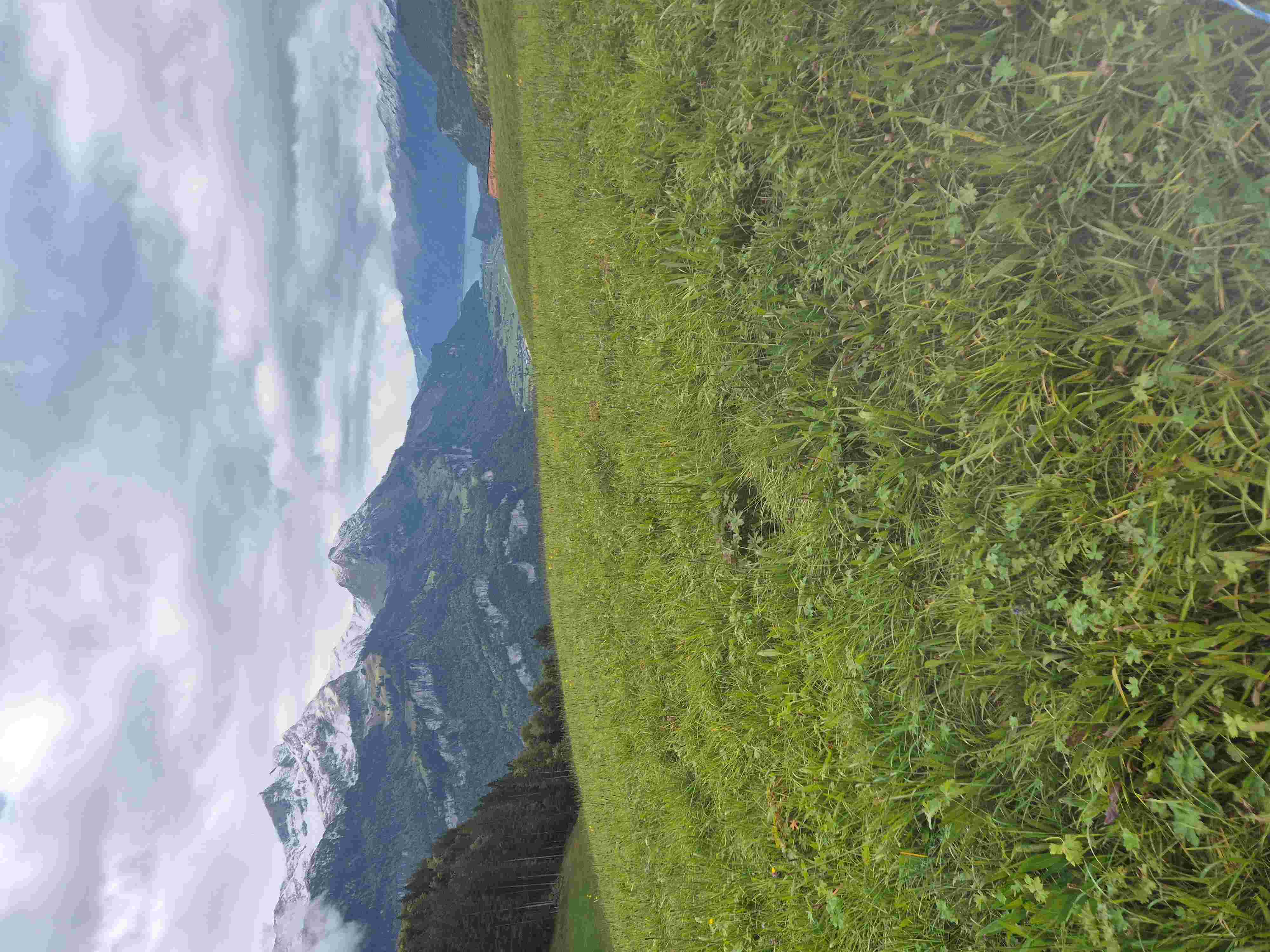 Herbstwanderung Hasliberg-Brünig, Sonntag, 5. Oktober 2025