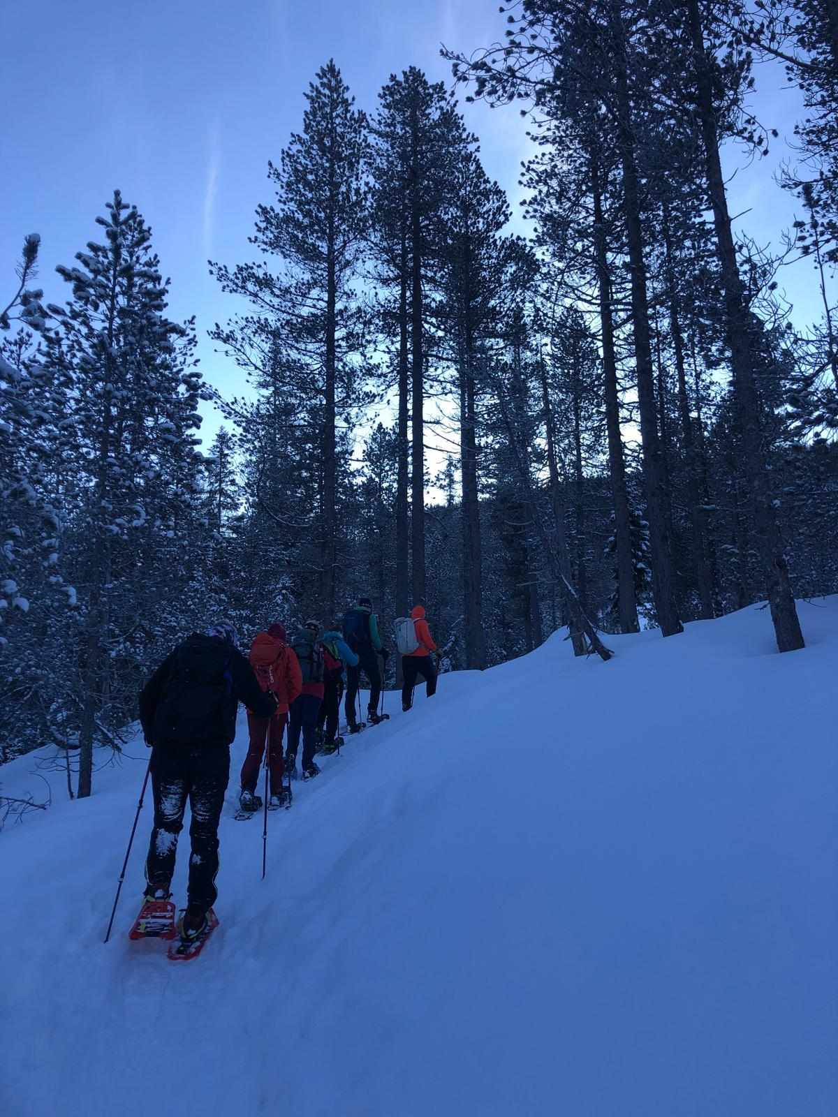 Schneeschuhtour "Jänzi-Runde", 31. Januar 2026