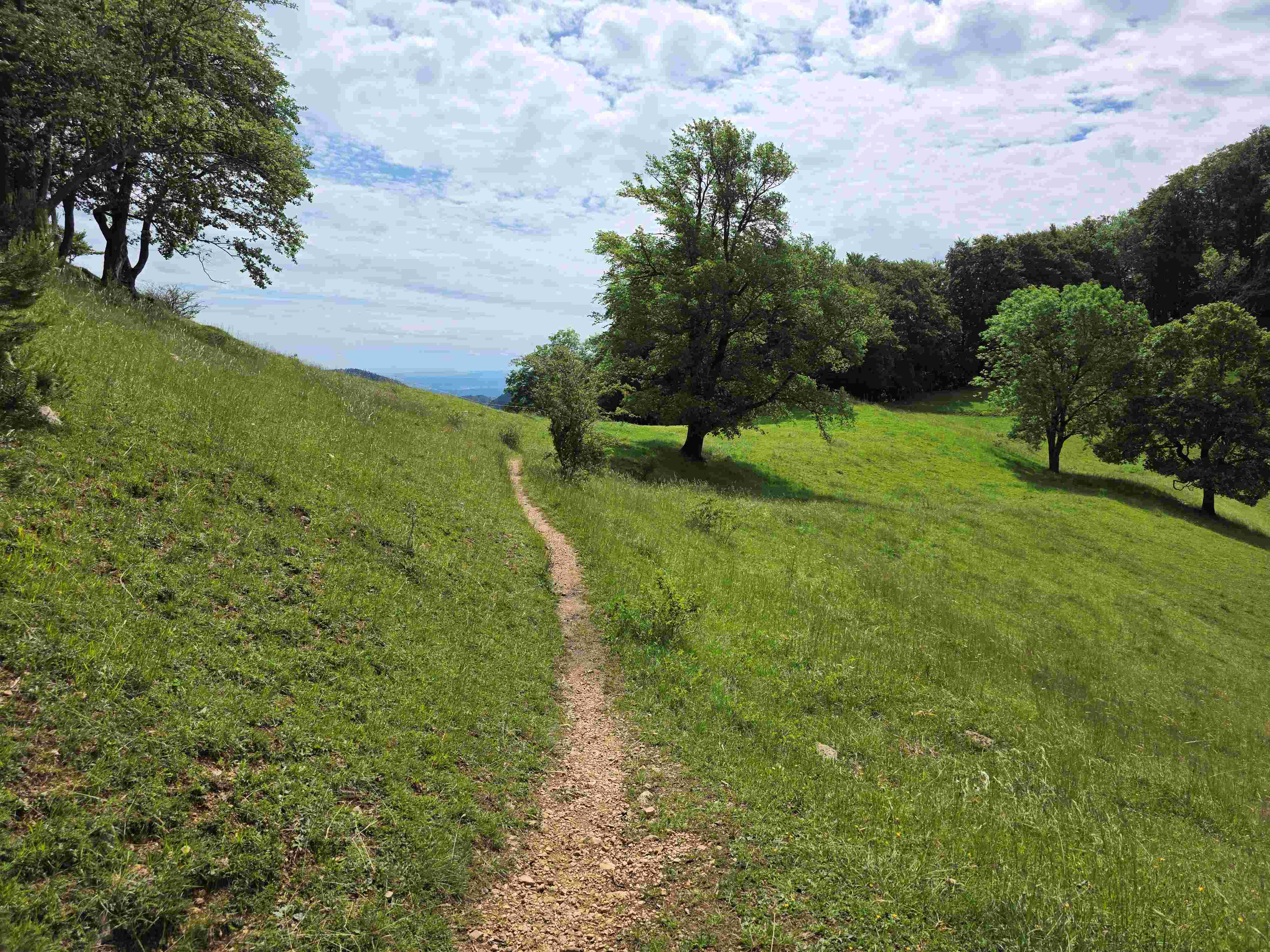 Wanderung Belchenflue vom Samstag, 6. Juni 2026