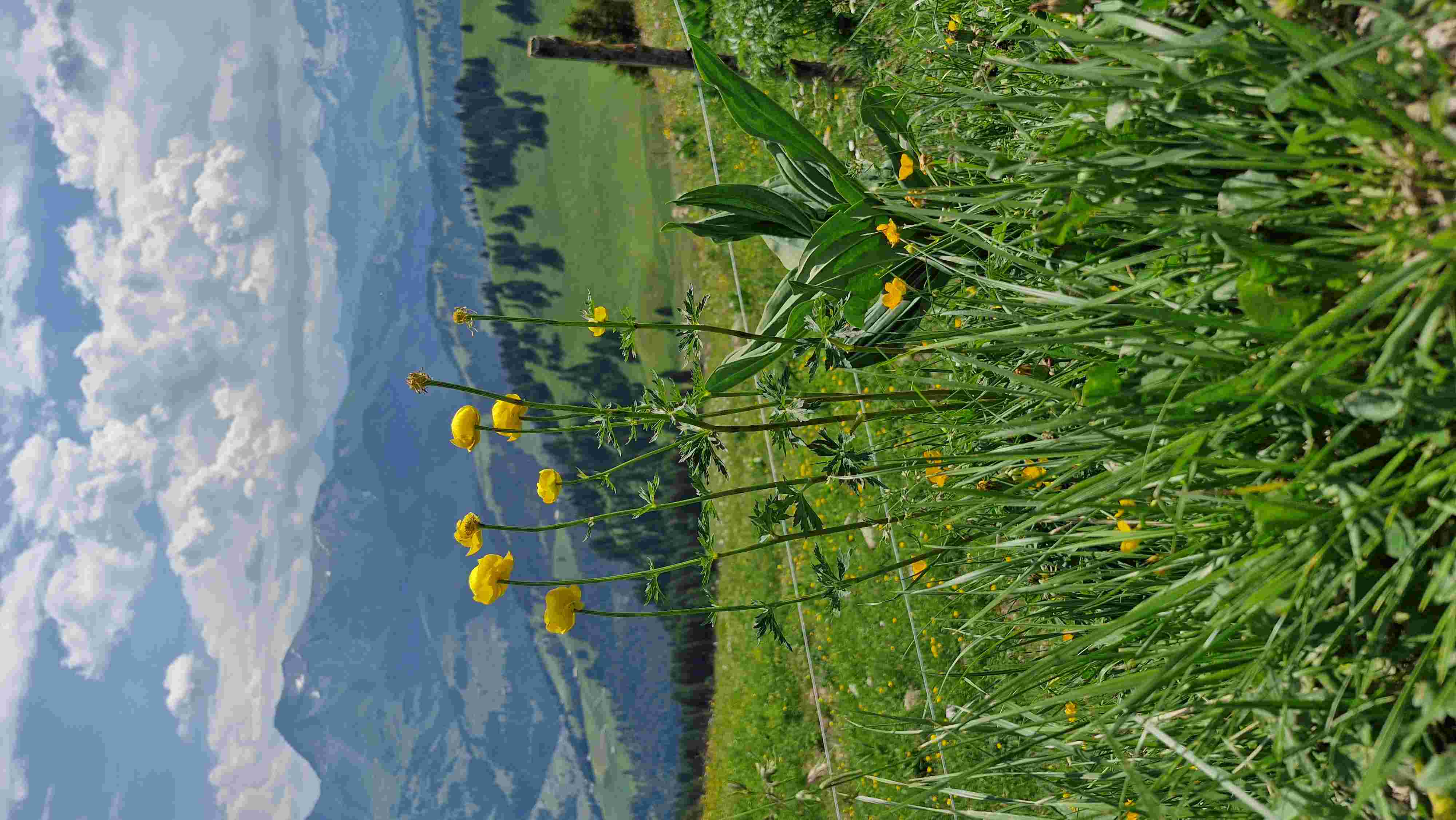 3-Tageswanderung Gstaad, 26.-28. Juni 2026